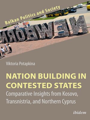 cover image of Nation Building in Contested States